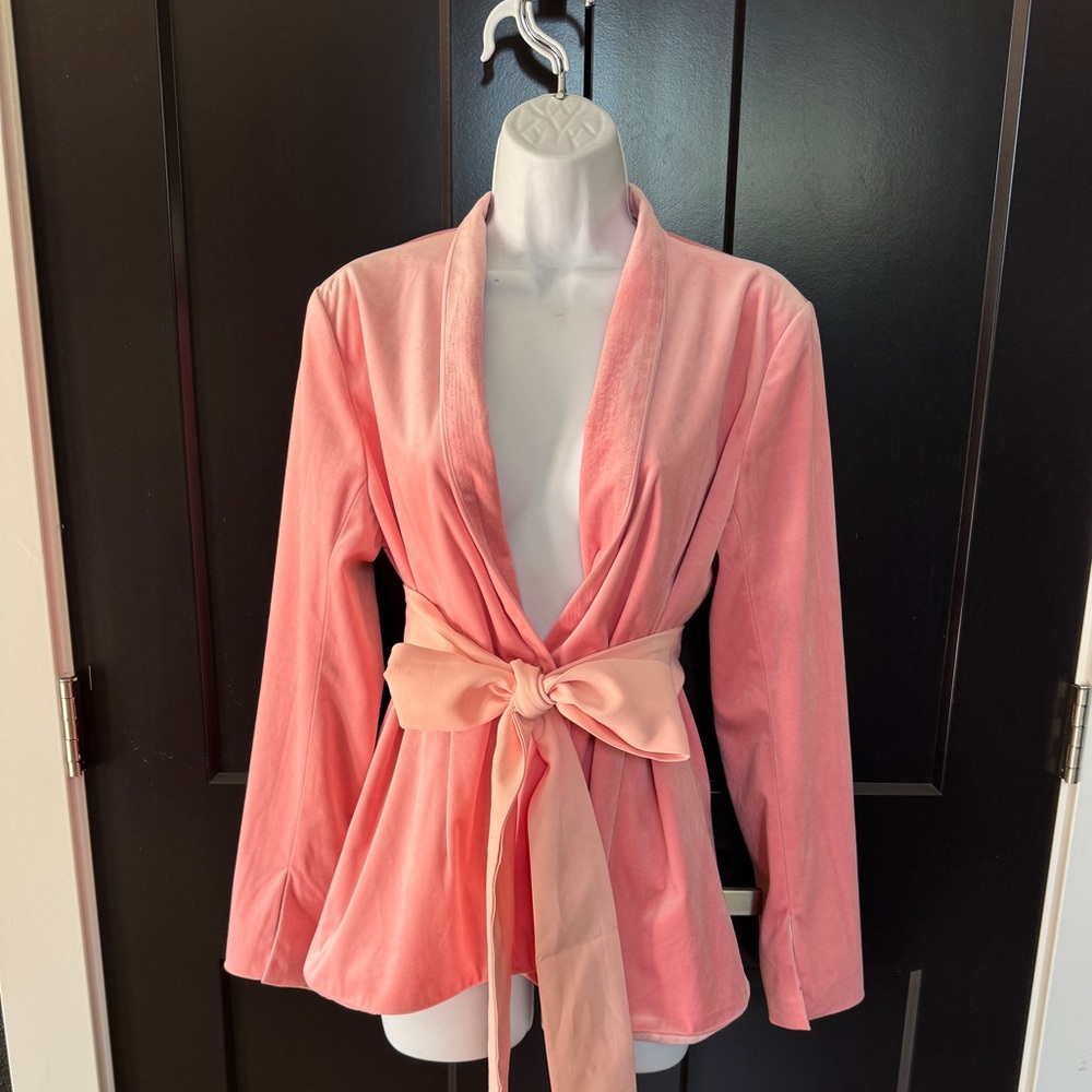 The "Rosé S'il Vous Plaît!" PWR WMN Pink Velvet Women's Blazer